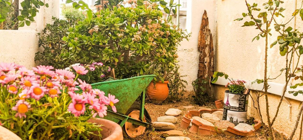Knossos Apartments Palekastro Zewnętrze zdjęcie